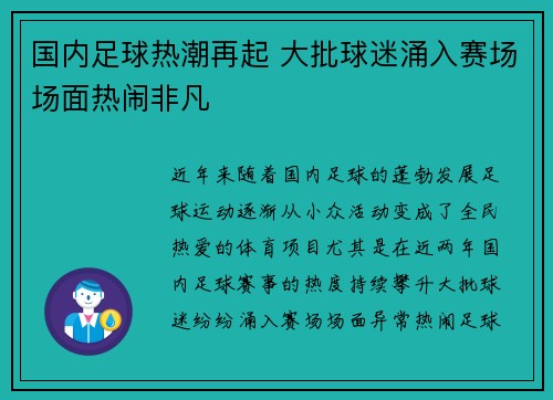 国内足球热潮再起 大批球迷涌入赛场场面热闹非凡