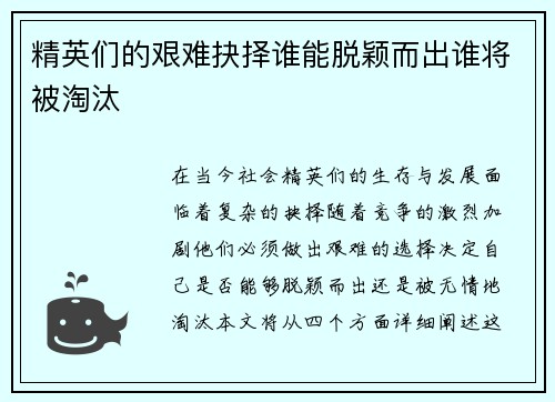 精英们的艰难抉择谁能脱颖而出谁将被淘汰